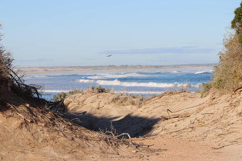 Chadinga Conservation Park - Accommodation Ballina 1