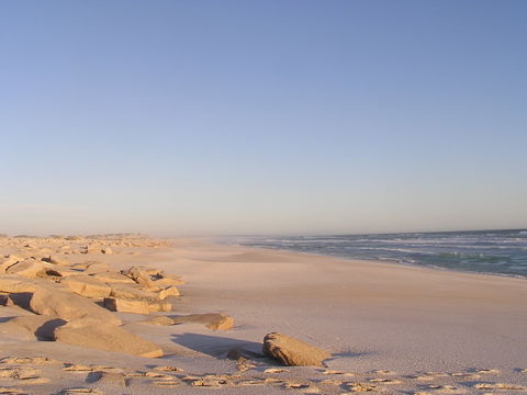 Chadinga Conservation Park - Accommodation Ballina 2