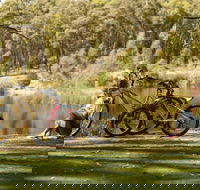 Creswick Regional Park