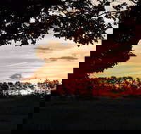 Dangar's Lagoon and Racecourse Lagoon - Accommodation Ballina