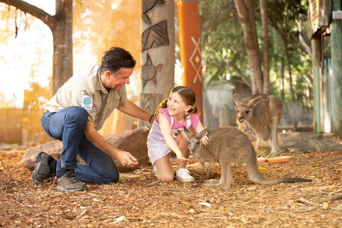 Dreamworld - Accommodation Ballina 2