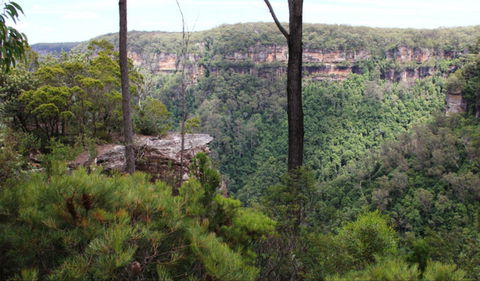 East Rim Wildflower Walking Track - Accommodation Ballina 0