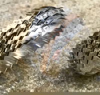 Eclectopia Gifts and Specialty Homewares - Accommodation Ballina