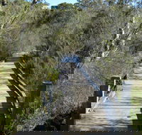 Falcon Crescent Link Track - Accommodation Ballina