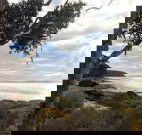 Fish Cannery Walking Trail - Accommodation Ballina