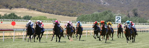 Goulburn And District Racing Club - Accommodation Ballina 1