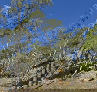 Green track - Accommodation Ballina