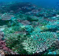 Hanging Rock Dive Site - Accommodation Ballina