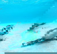 Jurien Bay - Accommodation Ballina