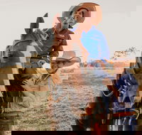 Katherine Outback Experience - Horse Riding Experience - Accommodation Ballina