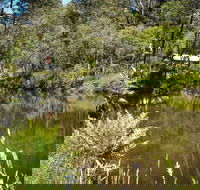 Kurth Kiln Regional Park - Accommodation Ballina