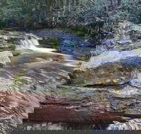 Liffey Falls Reserve - Accommodation Ballina