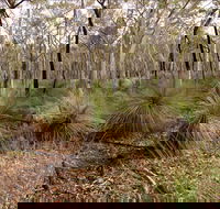 Livingstone National Park - Accommodation Ballina