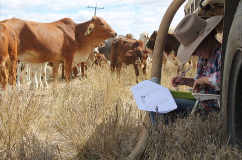 Longreach School Of Distance Education - Accommodation Ballina 2