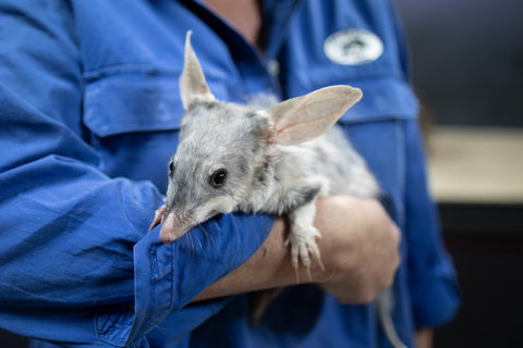 Matilda Way - Accommodation Ballina 2