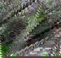 Mulwaree River Walkway - Accommodation Ballina