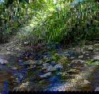 Nambucca Valley - Accommodation Ballina