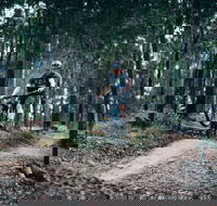 Nerang Mountain Bike Trails - Accommodation Ballina