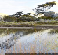 Onkaparinga River Recreation Park - Accommodation Ballina