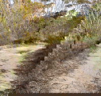 Red Rocks trig walking track - Accommodation Ballina