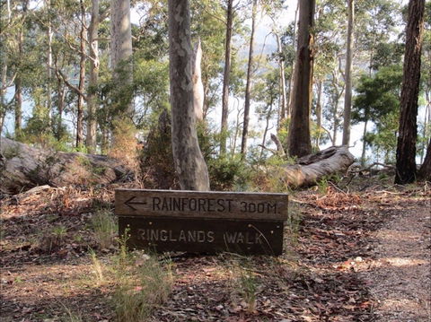 Ringlands Rotary Walk Narooma - Accommodation Ballina 0