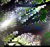 Scarborough Beach Park - Accommodation Ballina