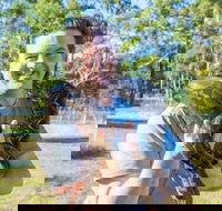 Serpentarium Wildlife Park Tasmania - Accommodation Ballina