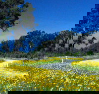 Shearer's Way - Accommodation Ballina