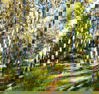 Square Head Track 1 - Accommodation Ballina