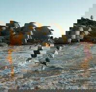 Venus Bay - Accommodation Ballina