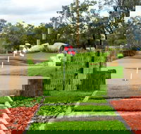 Vines Mini Golf - Accommodation Ballina