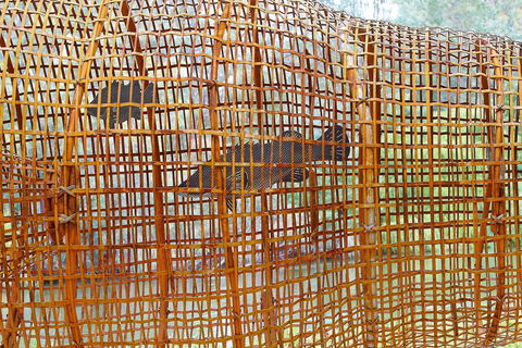 Wagirra Trail And Yindyamarra Sculpture Walk - Accommodation Ballina 2