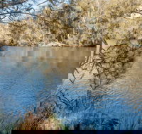 Wandandian Creek picnic area - Accommodation Ballina