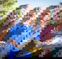 Australian Seabird Rescue - Accommodation Ballina