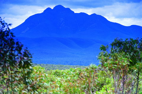 Borden - Accommodation Ballina 1