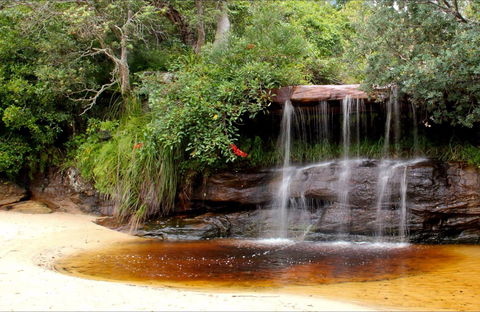 Collins Flat Beach - Accommodation Ballina 0