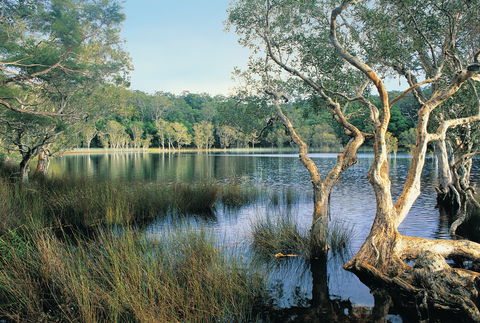 Cooloola, Great Sandy National Park - Accommodation Ballina 1