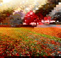 Gostwyck Chapel - Accommodation Ballina