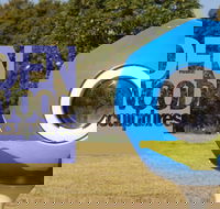 Hidden Rookwood Sculptures - Accommodation Ballina