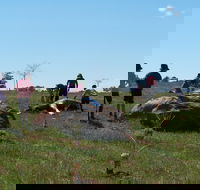 Jim Salmon  Wetland Education Site - Accommodation Ballina