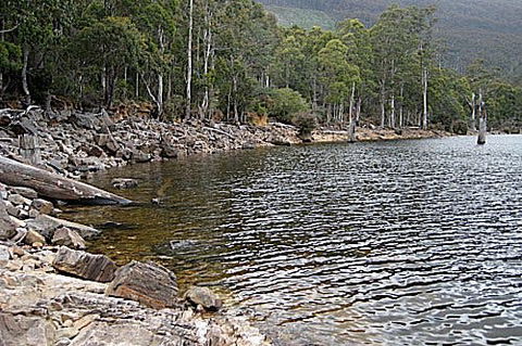 Lake Rowallan - Accommodation Ballina 1