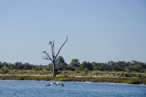 Mandurah Estuary And Peel Inlet - Accommodation Ballina 1