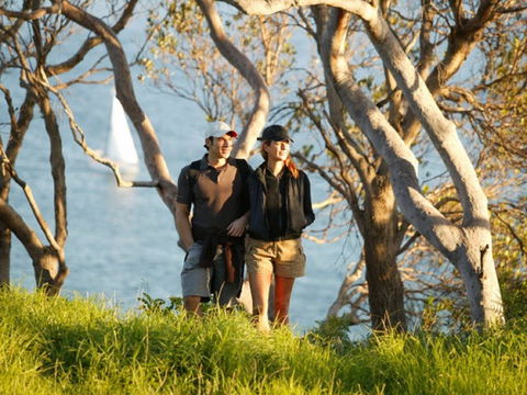 Manly To Spit Bridge Scenic Walkway - Accommodation Ballina 2