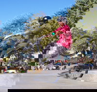 Millicent Skatepark - Accommodation Ballina