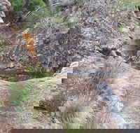 Mill-bullah Walking Track - Accommodation Ballina