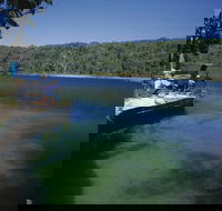 Naree Budjong Djara National Park - Accommodation Ballina