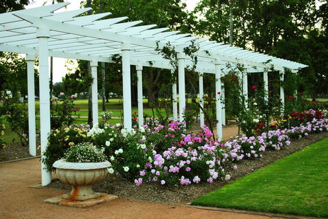 Newtown Park State Rose Garden - Accommodation Ballina 1