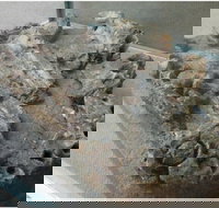 Pioneer Valley Museum - Accommodation Ballina