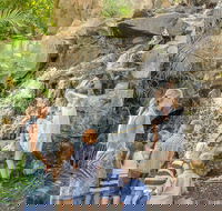 Queens Park Waterfall - Accommodation Ballina