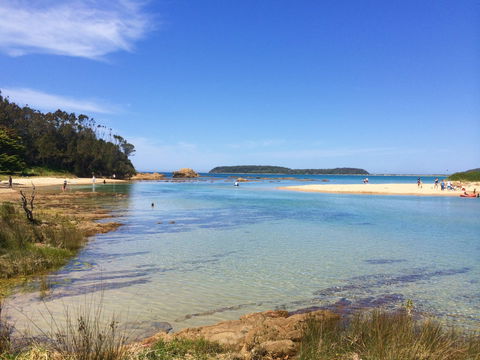 Snorkelling Candlagan Creek - Accommodation Ballina 0